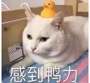 �{��֧������΢���D�~ӛ䛡���Ҫ�ؽ��᣿֔ӛ5��Ҫ�c