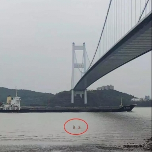 ��ꎴ�����@�F2���ڽ��ҰӾ��