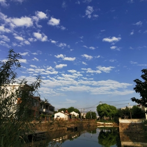 ��^(q��)�W(w��ng)�ѷ�����ż�����ĵ��ÿ����L��