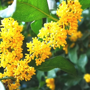 APP����Ȧ�����ɢ�l�������ζ��