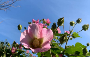 ��^�W�ѷ�������ߚ�ˬ ������һ��