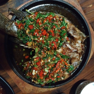 APP����Ȧ����옷�ľ��Ǻ��|�۹��