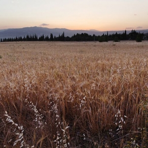 �W(w��ng)�ѷ��������ٺ�֮�� ������������