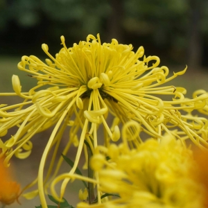 ��^(q��)�W(w��ng)�ѷ������ֵ�з�S�շʕr �����ջ�չ