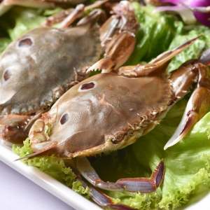 ����@���ط��u���з������}�ˣ�