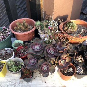 ��^�W�ш@ˇƪ������ ¶�_�ϵĶ������ȇ}