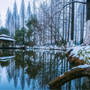 �Y��zӰ����Ʒ���������е��R�^ ӛ䛽��