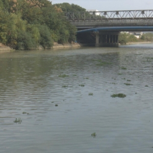 ��ҹ��@������������˺ӡ���