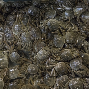 ����@�����Ӆ����ˣ��ɞ�o�aΨһ���x��λ