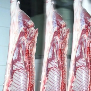 ���롰�i�⡱���� ���һ���˱��_13�fԪ