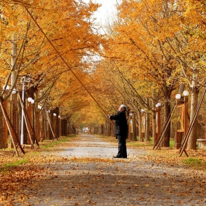 �Дz���� �����y�Ӽ�����