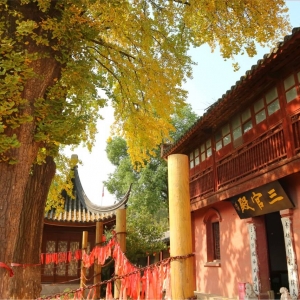 ��^�W�ѷ�����������^ �����^������