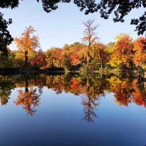 ��^(q��)�W(w��ng)�����]��������������ɽ������ƽɽ