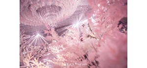 �������������ɫ��Y ��������ļ�