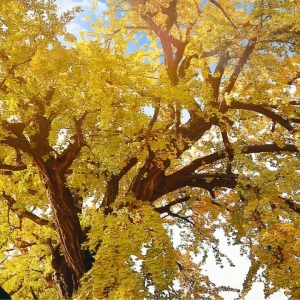 APP����Ȧ���]��һ�~һ���� һ��һ����