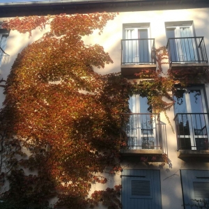 �W�ѷ�����;�ĵã������ﰺ ʥ���������f