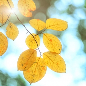 �W�єzӰ��Ƭ���]�����ĩβ �����붬