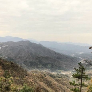 �W(w��ng)���֮����Ӱ���R����·