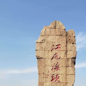 �W(w��ng)�ѷ���������Z����һ����