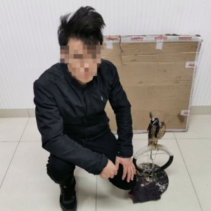 �������˽��؜�u���Ҷ������o(h��)���ﱻץ