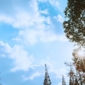 ��^�zӰ�� �����������S���ďR