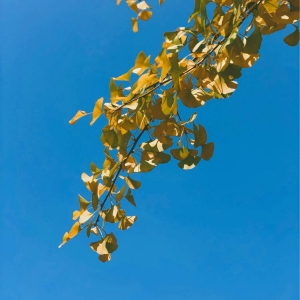 ��^�W�ѷ���zӰ��Ʒ  һ���o�ĸ�e