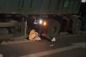 �K�ң�������ꎰl��һ��܇����Ů�Ӯ���������