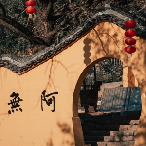 ��ꖾWAPP�������]�� �������A  �^���Ɵ�