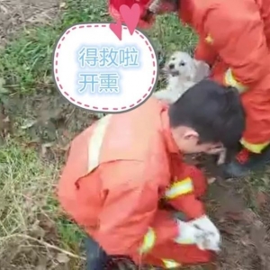 �����ˣ��o�a��������С��һ�� ֮��...