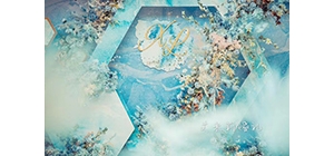 ��������{ɫϵ��Y �����ڻ�����