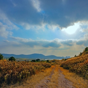 ��^�W�ё���zӰ��Ʒ���� ��ɽ�����{��