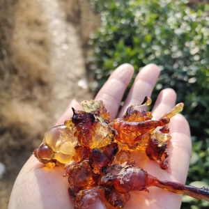 ��ꖾWAPP�������] ܊�ֹŵ���һ��