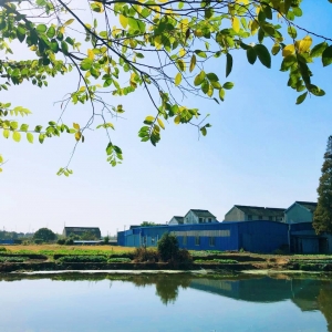 ��ꖾWAPP�������] �͛]�����ůꖿp϶��