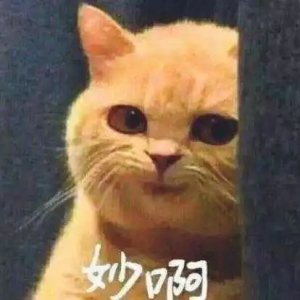 ��⣡������������ɹ��������u��Ů��