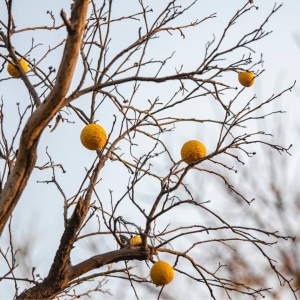 ��^�W���S�� ������݅���е���֮�ҏR�S�~