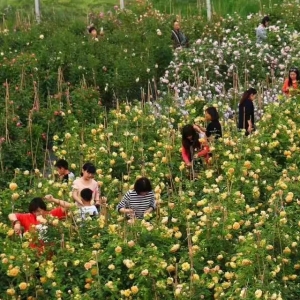 ���ι��������1��(g��)��2�҈@�^(q��)�ϰ� ��ȥ�^�᣿