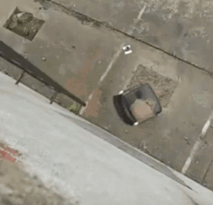 ���ӱ�ը���t����Ů���c��ȡ��ʮ�׉K��Ƭ��