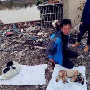 ��ꎺ�ɫ�a�I朡����������ˡ�