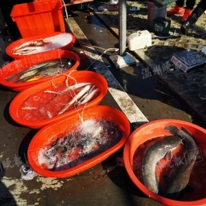 �o�����ѣ������ϳ��F�ġ������~��ǧ�f��Ҫ�I