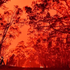 �Ї������������ܷ�����޴�𣿴���......