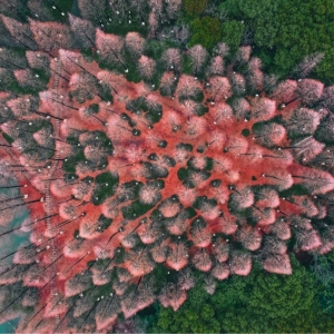 �zӰ��K�W(w��ng)�Ѻ��� �Sɽ�����@�ķ�ɫ�ɘ���