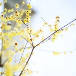 APP�W�ѷ�����Ʒ��Ը������� ���g�԰�