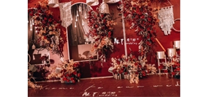 ������˼tɫϵ��Y ���h�Ъ��ص�����