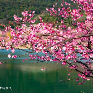 �zӰ��W�ѳ���������Ʒ �����е���ɽ÷�X