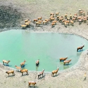 ��ֹ�Ƿ�Ұ�����ｻ�� �����L�Uª���f����