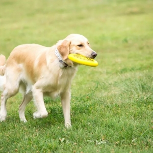 ��۴_�\����Ⱦ�¹ڲ��� ����Ⱦ�o�ˆ᣿