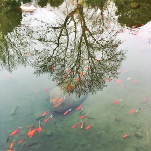 ����Ȧ�W���S����Ʒ���� �����е���ɽ���@