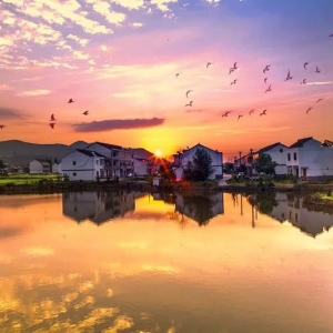 ���ι���������@ʮ����������