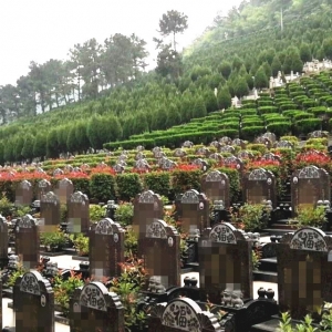 ����и���Ĺ�_չ���M�����߷���