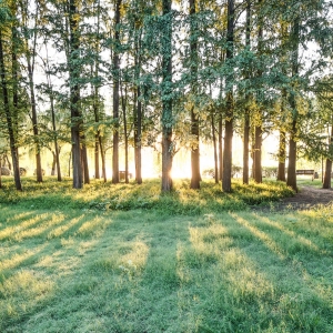 ���2020���Ӌ������4500��